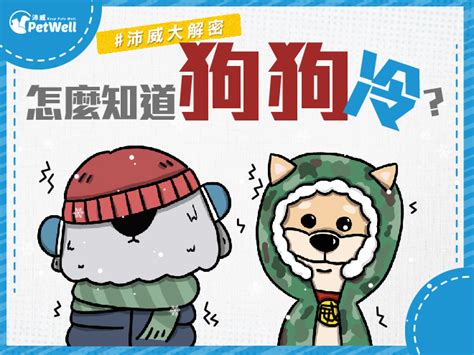 狗狗手腳冰冷|【沛威大解密】怎麼知道狗狗冷？實用保暖4招大公開！